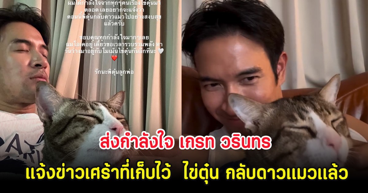 ส่งกำลังใจ เกรท วรินทร แจ้งข่าวเศร้าที่เก็บไว้  ไข่ตุ๋น กลับดาวเเมวเเล้ว