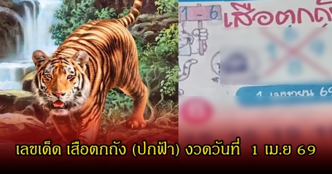 เลขเด็ด เสือตกถัง (ปกฟ้า) ลุ้นงวดวันที่  1 เมษายน 69