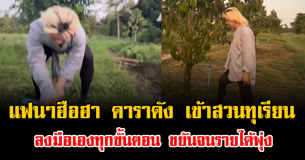 แฟนๆฮือฮา ดาราดัง เข้าสวนทุเรียน ลงมือเองทุกขั้นตอน ขยันจนรายได้พุ่ง