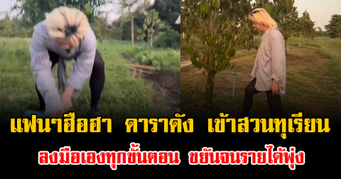 แฟนๆฮือฮา ดาราดัง เข้าสวนทุเรียน ลงมือเองทุกขั้นตอน ขยันจนรายได้พุ่ง