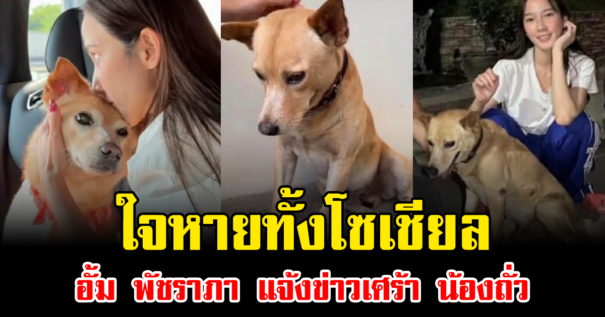 ใจหายทั้งโซเชียล อั้ม พัชราภา แจ้งข่าวเศร้า น้องถั่ว