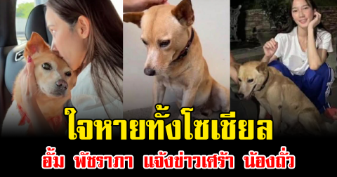 ใจหายทั้งโซเชียล อั้ม พัชราภา แจ้งข่าวเศร้า น้องถั่ว