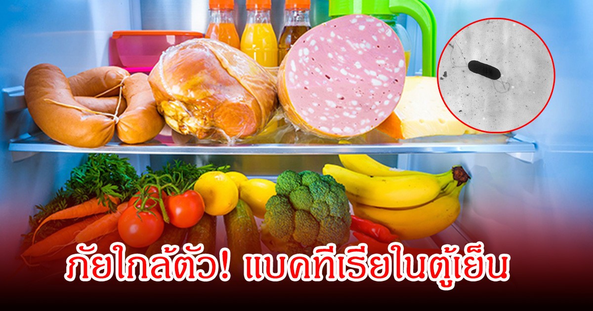 ภัยใกล้ตัว! แบคทีเรียในตู้เย็น เป็นเพชฌฆาตบุกสมองไม่รู้ตัว