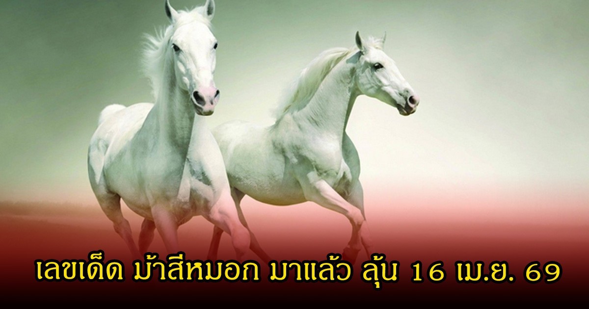 มาแล้ว! เลขเด็ด ม้าสีหมอก มาแล้ว ลุ้น 16 เม.ย. 69