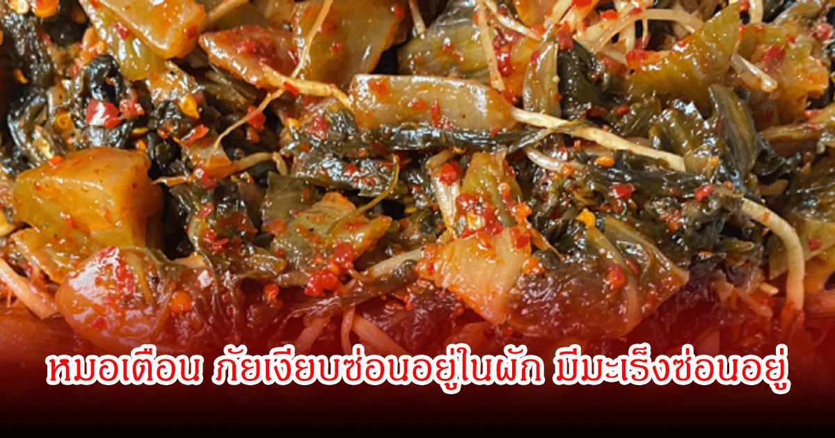 คนไทยชอบมาก!  หมอเตือน ภัยเงียบซ่อนอยู่ในผัก รู้ตัวอีกทีป่วยมะเร็งระยะสุดท้าย