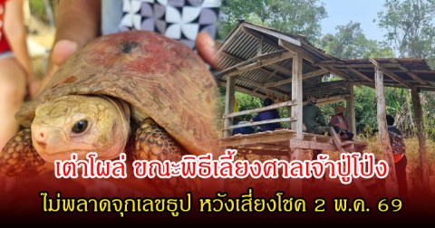 ชาวลับแลฮือฮา! เต่าโผล่ ขณะพิธีเลี้ยงศาลเจ้าปู่โป่ง ไม่พลาดจุกเลขธูป หวังเสี่ยงโชค 2 พ.ค. 69