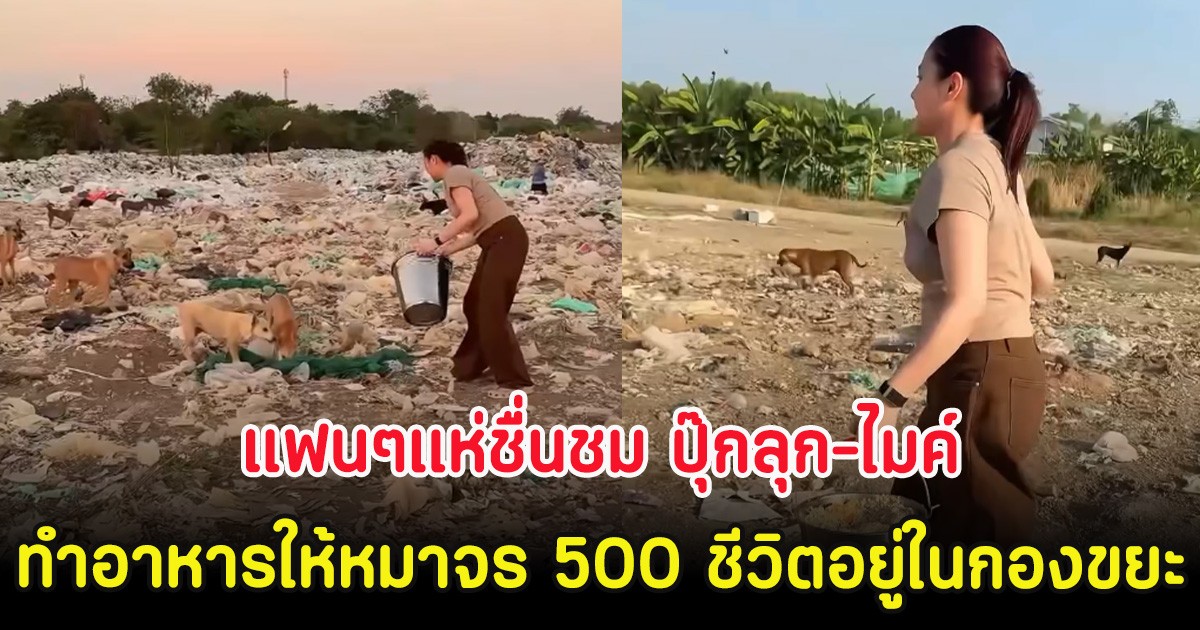 แฟนๆแห่ชื่นชม ปุ๊กลุก-ไมค์ ทำอาหารให้หมาจร 500 ชีวิตอยู่ในกองขยะ