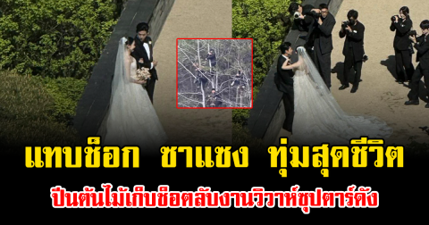 แทบช็อก ซาแซง ทุ่มสุดชีวิต ปีนต้นไม้เก็บช็อตลับงานวิวาห์ซุปตาร์ดัง (ข่าวต่างประเทศ)