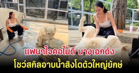 แฟนๆใจคอไม่ดี นางเอกดัง โชว์สกิลอาบน้ำสิงโตตัวใหญ่ยักษ์