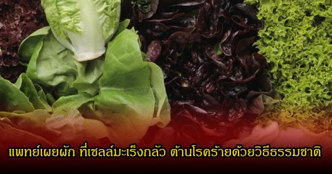 แพทย์เผยผัก ที่เซลล์มะเร็งกลัว ต้านโรคร้ายด้วยวิธีธรรมชาติ