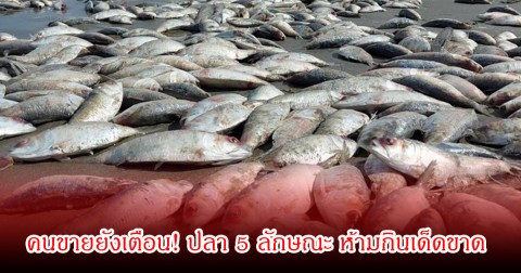 คนขายยังเตือน! ปลา 5 ลักษณะ ห้ามกินเด็ดขาด เสี่ยงมาก อย่าเสียดายให้ทิ้งไปเลย