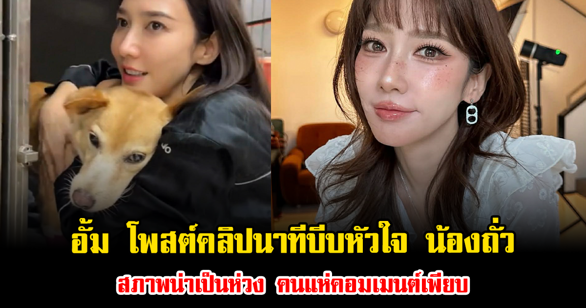 สะเทือนใจมาก อั้ม โพสต์คลิปนาทีบีบหัวใจ น้องถั่ว สภาพน่าเป็นห่วง คนแห่คอมเมนต์เพียบ
