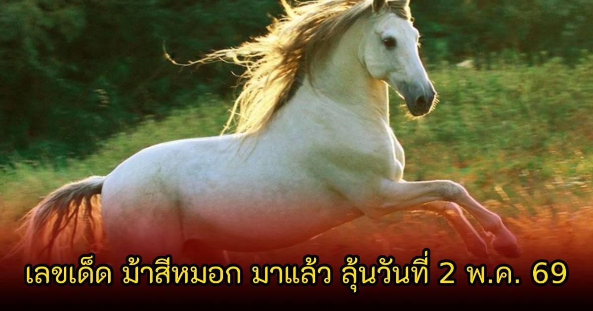 เลขเด็ด ม้าสีหมอก มาแล้ว ลุ้นวันที่ 2 พฤษภาคม 69