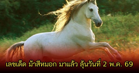 เลขเด็ด ม้าสีหมอก มาแล้ว ลุ้นวันที่ 2 พฤษภาคม 69