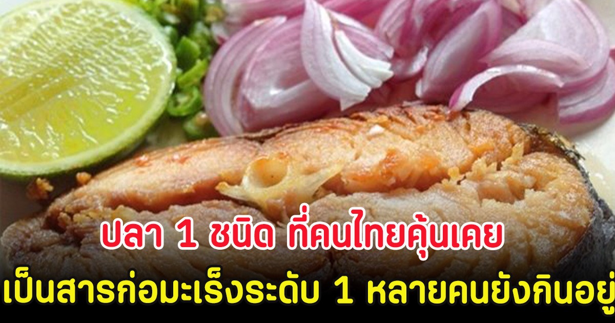 ปลา 1 ชนิด ที่คนไทยคุ้นเคย เป็นสารก่อมะเร็งระดับ 1 หลายคนยังกินอยู่