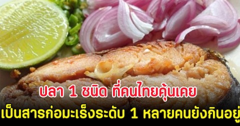 ปลา 1 ชนิด ที่คนไทยคุ้นเคย เป็นสารก่อมะเร็งระดับ 1 หลายคนยังกินอยู่