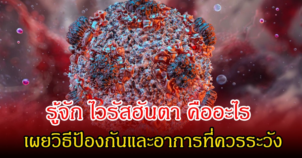 รู้จัก ไวรัสฮันตา หลังคร่าชีวิตคนบนเรือสำราญกลางมหาสมุทร เผยวิธีป้องกันและอาการที่ควรระวัง