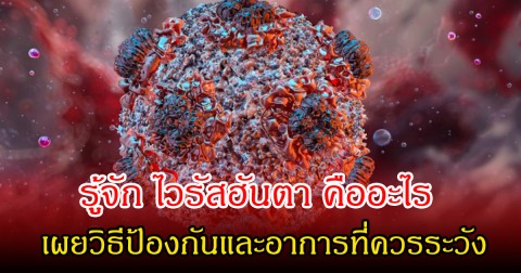 รู้จัก ไวรัสฮันตา หลังคร่าชีวิตคนบนเรือสำราญกลางมหาสมุทร เผยวิธีป้องกันและอาการที่ควรระวัง
