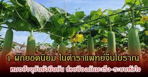 ไทยมีเพียบ! 1 ผักยอดนิยม ในตำราแพทย์จีนโบราณ หมอปัจจุบันยังยืนยัน ช่วยป้องกันมะเร็ง-ระบบหัวใจ หาได้ง่ายมาก