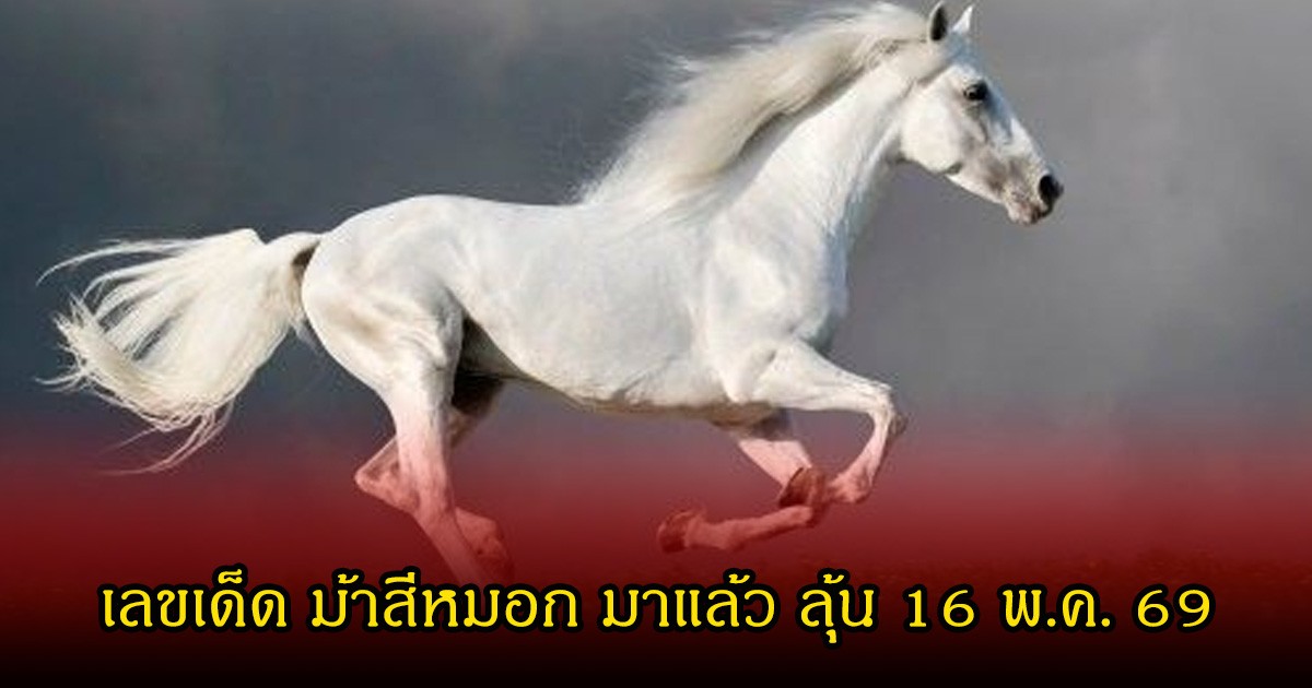 เลขเด็ด ม้าสีหมอก มาแล้ว ลุ้นงวดวันที่ 16 พ.ค. 69