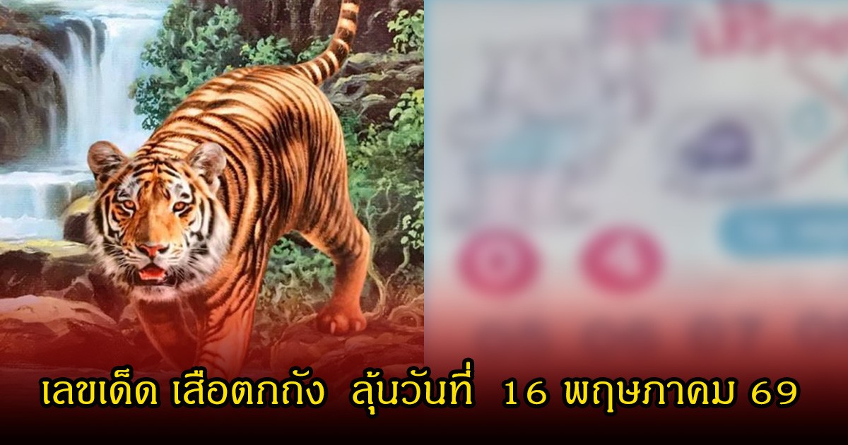 เลขเด็ด เสือตกถัง  ลุ้นวันที่  16 พฤษภาคม 69