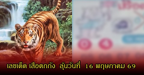 เลขเด็ด เสือตกถัง  ลุ้นวันที่  16 พฤษภาคม 69