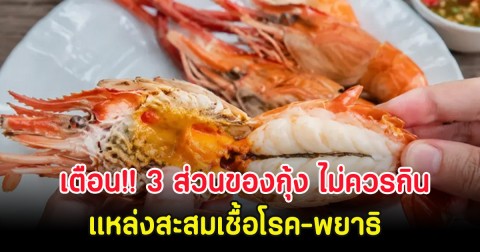 เตือน!! 3 ส่วนของกุ้ง ไม่ควรกิน แหล่งสะสมเชื้อโรค-พยาธิ หลายคนชอบมาก