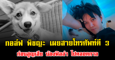 นาทีบีบหัวใจ กอล์ฟ พิชญะ เผยสายโทรศัพท์ตี 3 ก่อนสูญเสีย น้องฟิลล่า ไปตลอดกาล