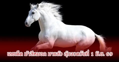 เลขเด็ด ม้าสีหมอก มาแล้ว ลุ้นงวดวันที่ 1 มิถุนายน 69