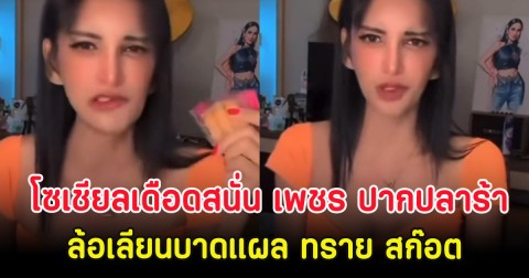 โซเชียลเดือดสนั่น เพชร ปากปลาร้า ล้อเลียนบาดแผล ทราย สก๊อต