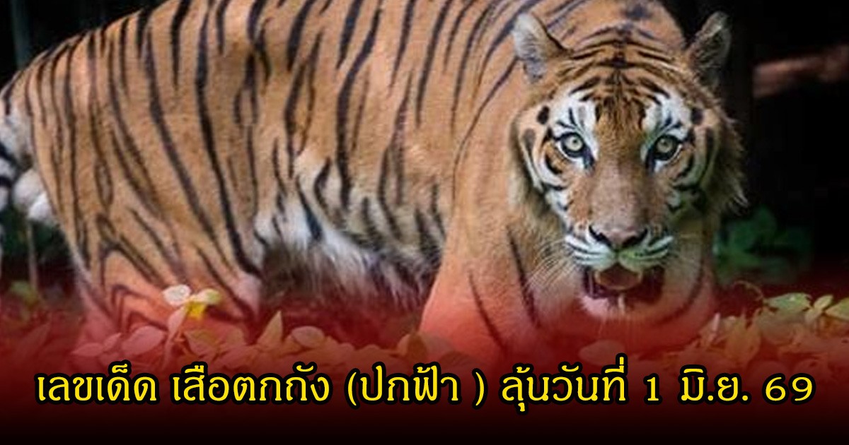 เลขเด็ด เสือตกถัง (ปกฟ้า ) ลุ้นวันที่ 1 มิถุนายน 69