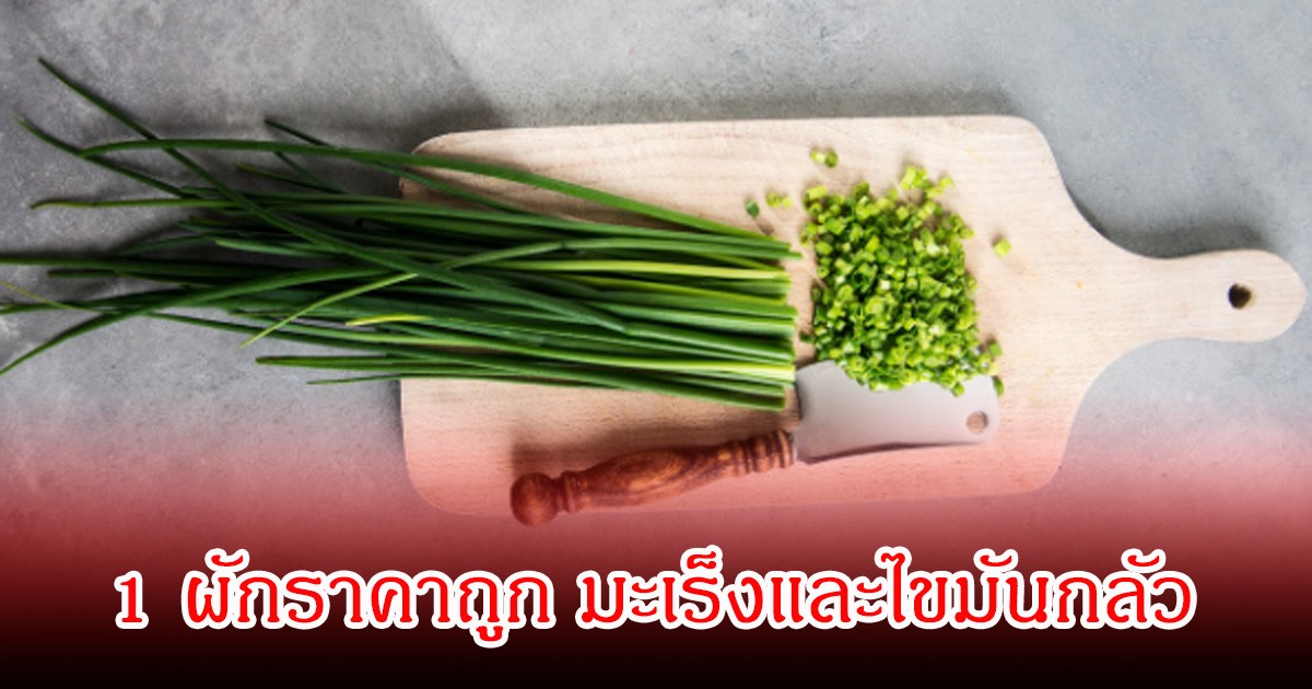อย่ามองข้าม! 1 ผักราคาถูก มะเร็งและไขมันกลัว