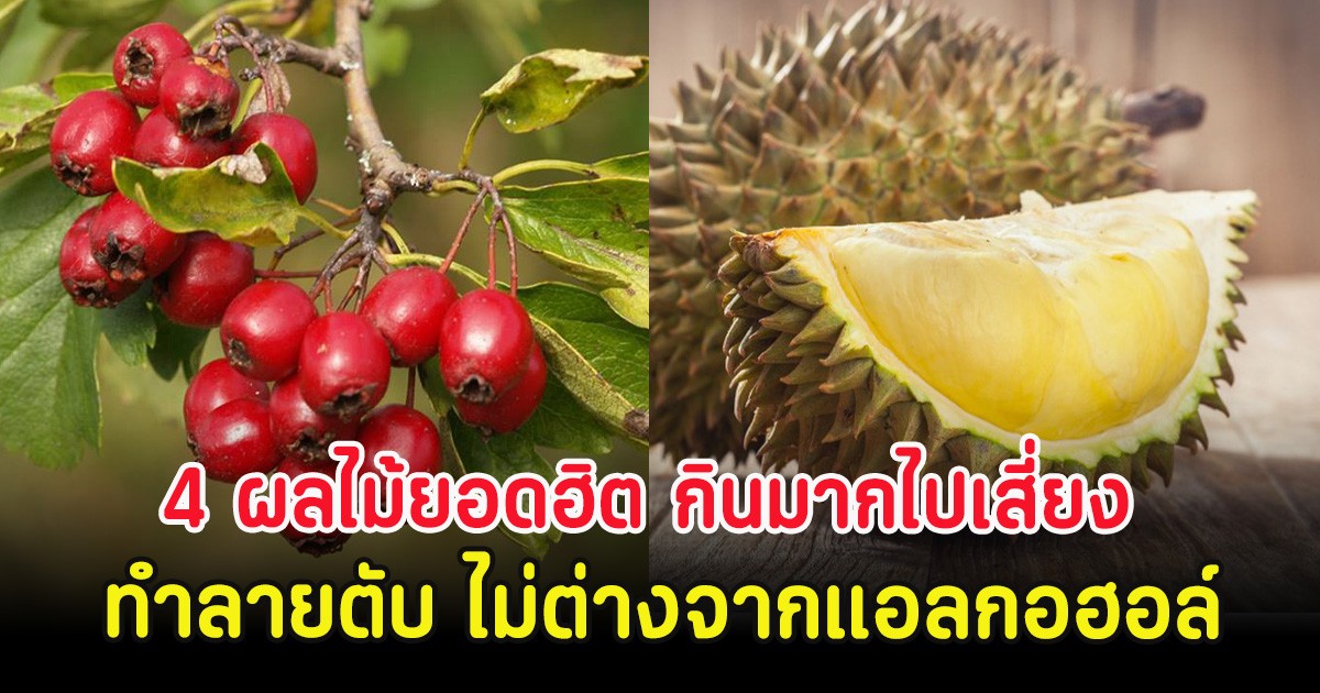 เปิดโผ 4 ผลไม้ยอดฮิต กินมากไปเสี่ยง ทำลายตับ ไม่ต่างจากแอลกอฮอล์