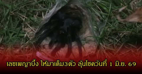 เลขเพญาบึ้ง ให้มาเต็ม3ตัว ลุ้นโชควันที่ 1 มิ.ย. 69