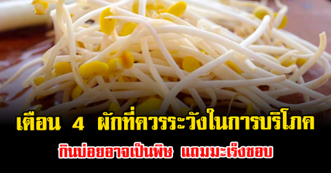 เตือน 4 ผักที่ควรระวังในการบริโภค กินบ่อยอาจเป็นพิษ แถมมะเร็งชอบ