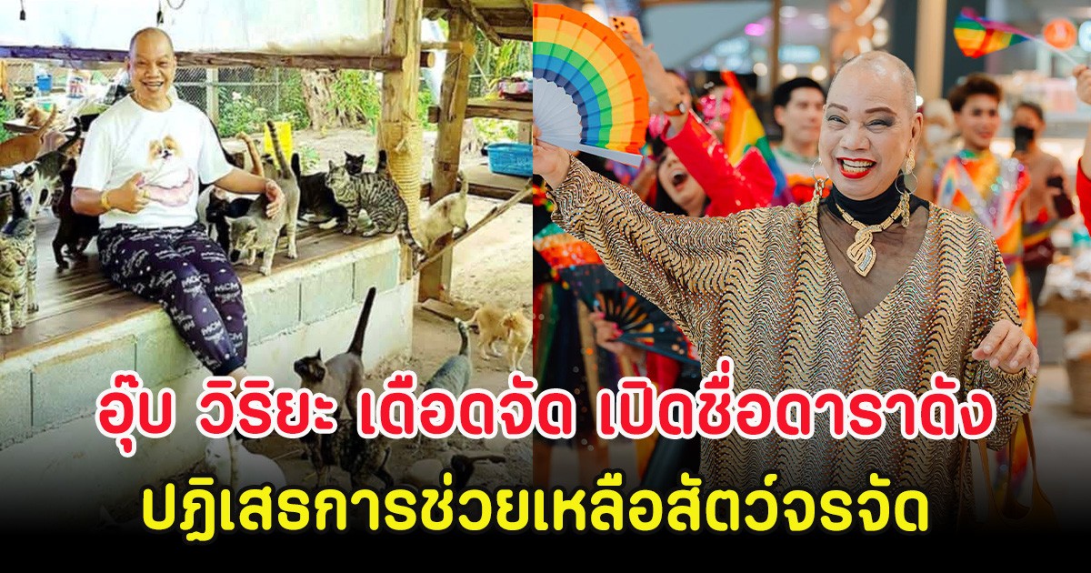 อุ๊บ วิริยะ เดือดจัด เปิดชื่อดาราดัง ปฏิเสธการช่วยเหลือสัตว์จรจัด
