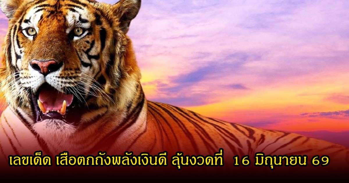 เลขเด็ด เสือตกถังพลังเงินดี ลุ้นงวดที่  16 มิถุนายน 69