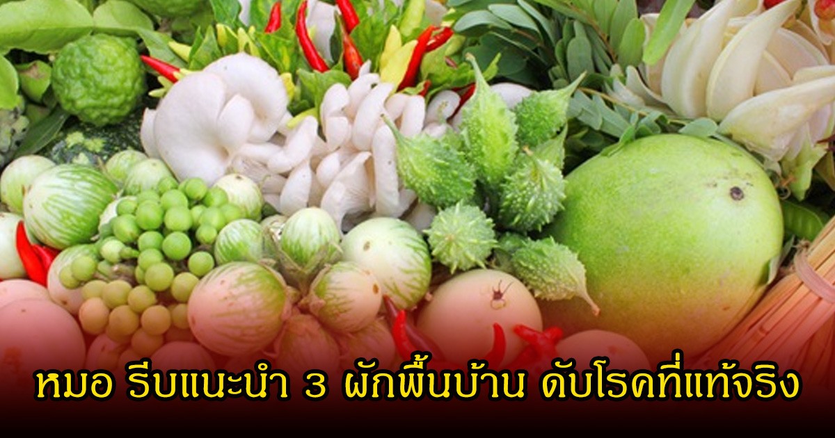 หมอ รีบแนะนำ 3 ผักพื้นบ้าน ดับโรคที่แท้จริง