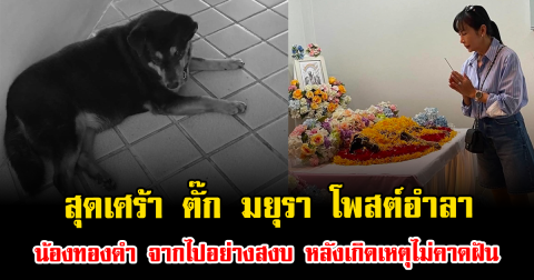 สุดเศร้า ตั๊ก มยุรา โพสต์อำลา น้องทองดำ จากไปอย่างสงบ หลังเกิดเหตุไม่คาดฝัน