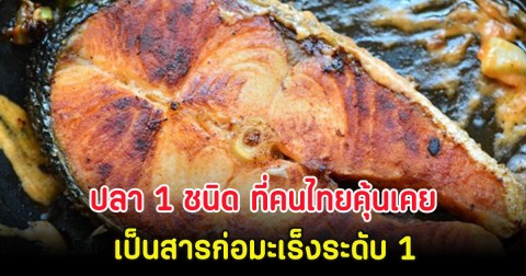 ปลา 1 ชนิด ที่คนไทยคุ้นเคย เป็นสารก่อมะเร็งระดับ 1 หลายคนยังกินอยู่