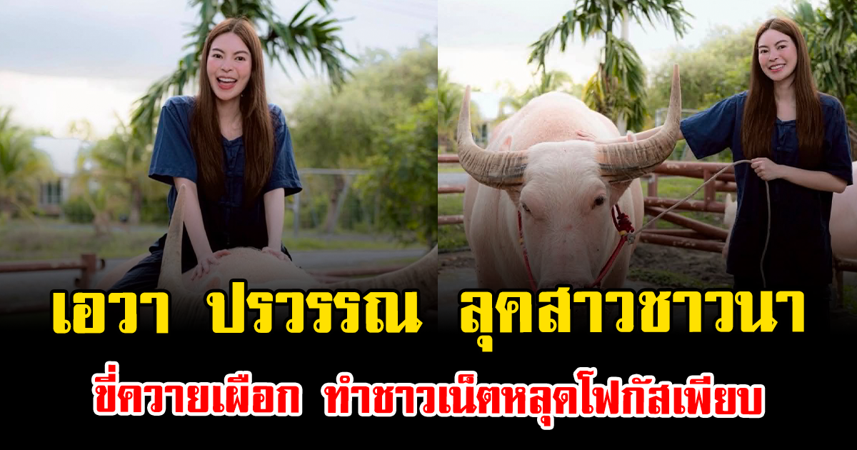 กรี๊ดดังๆ เอวา ปรวรรณ ลุคสาวชาวนา ขี่ควายเผือก สวยมาก ทำชาวเน็ตหลุดโฟกัสเพียบ