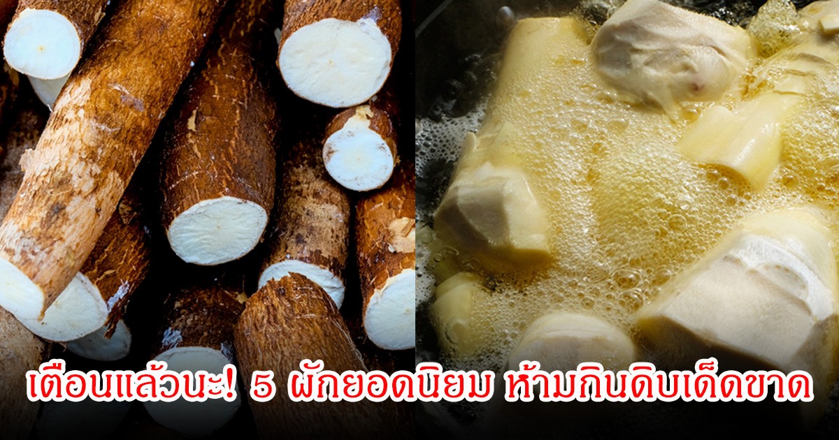 เตือนแล้วนะ! 5 ผักยอดนิยม หลายคนชอบกิน ผู้เชี่ยวชาญเผยห้ามกินดิบเด็ดขาด เสี่ยงสารพิษร้ายแรงมาก
