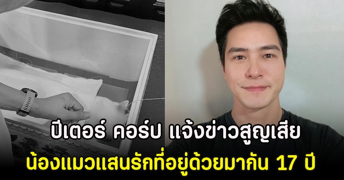 สุดเศร้า ปีเตอร์ คอร์ป แจ้งข่าวสูญเสีย น้องแมวแสนรักที่อยู่ด้วยมากัน 17 ปี