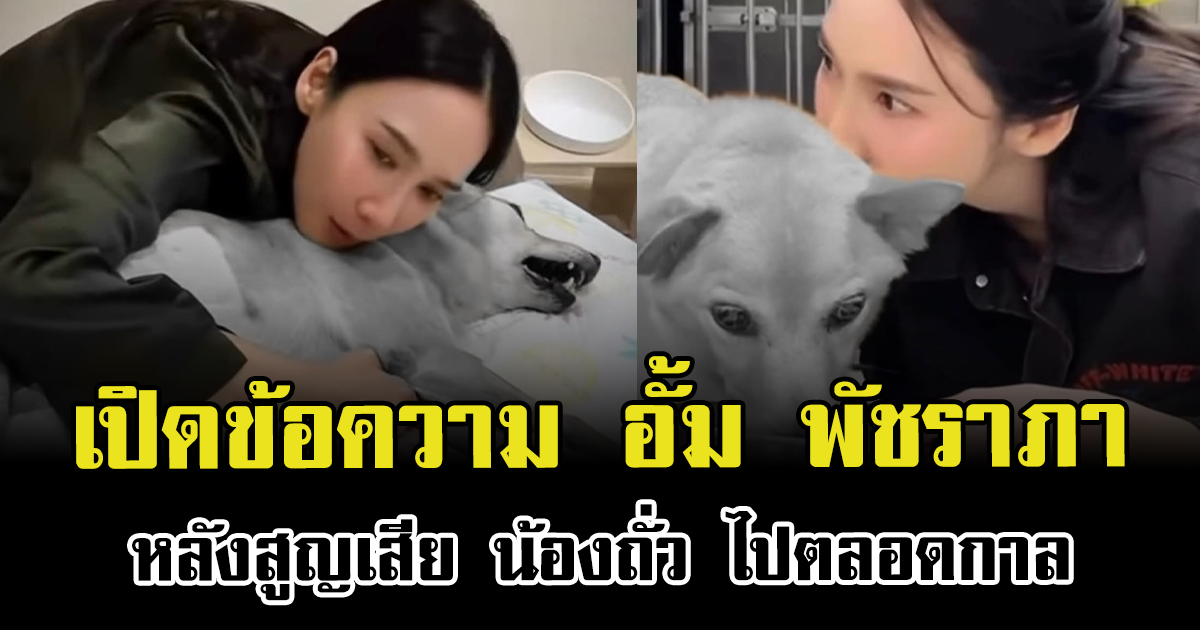 แห่ส่งกำลังใจ เปิดข้อความ อั้ม พัชราภา หลังสูญเสีย น้องถั่ว ไปตลอดกาล