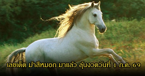 เลขเด็ด ม้าสีหมอก มาแล้ว ลุ้นงวดวันที่ 1 กรกฎาคม 69