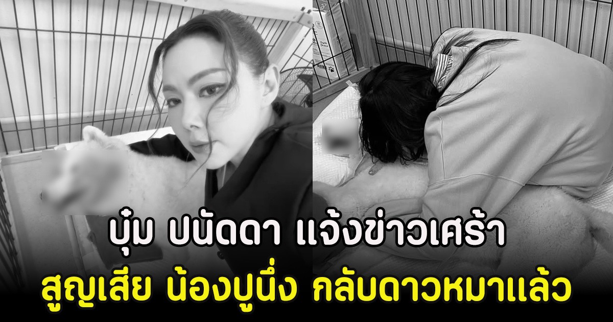 ส่งกำลังใจ บุ๋ม ปนัดดา แจ้งข่าวเศร้า สูญเสีย น้องปูนึ่ง กลับดาวหมาเเล้ว