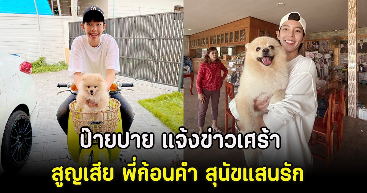 ป๊ายปาย แจ้งข่าวเศร้า สูญเสีย พี่ก้อนคำ สุนัขแสนรัก