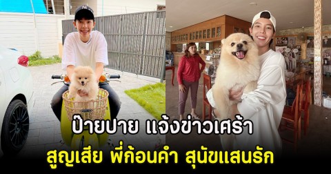 ป๊ายปาย แจ้งข่าวเศร้า สูญเสีย พี่ก้อนคำ สุนัขแสนรัก