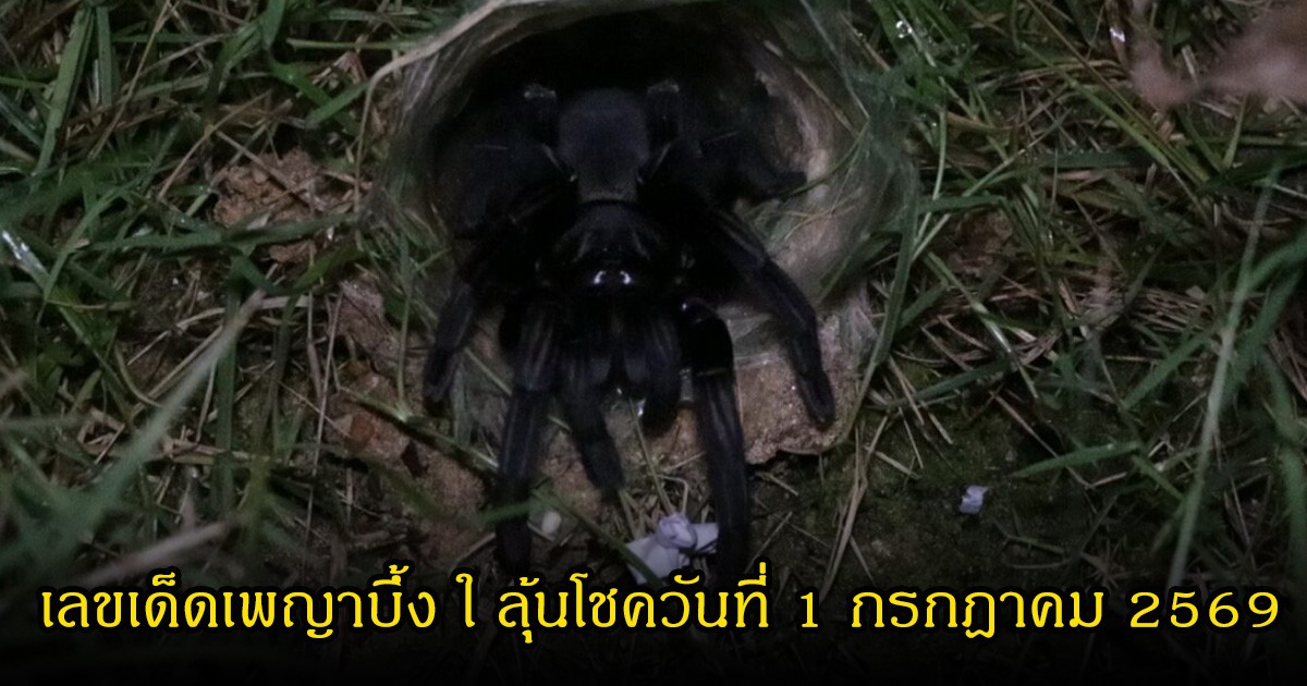 เลขเด็ดเพญาบึ้ง ใ ลุ้นโชควันที่ 1 กรกฎาคม 2569