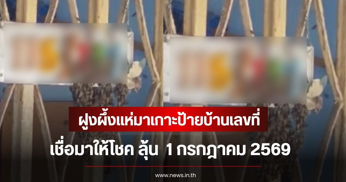 ฮือฮา! ฝูงผึ้งแห่มาเกาะป้ายบ้านเลขที่ เชื่อมาให้โชค ลุ้น  1 กรกฎาคม 2569